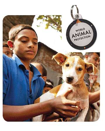 Donation to World Animal Protection