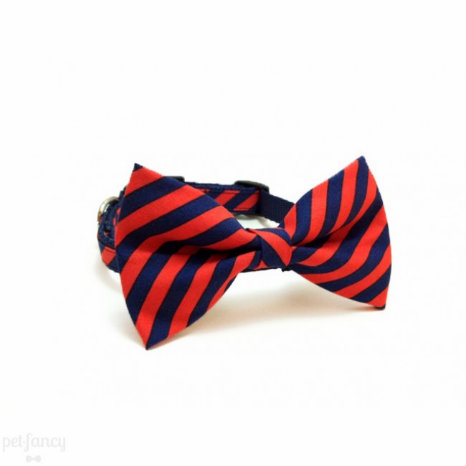SooperTramp Dog Bow Tie Collar