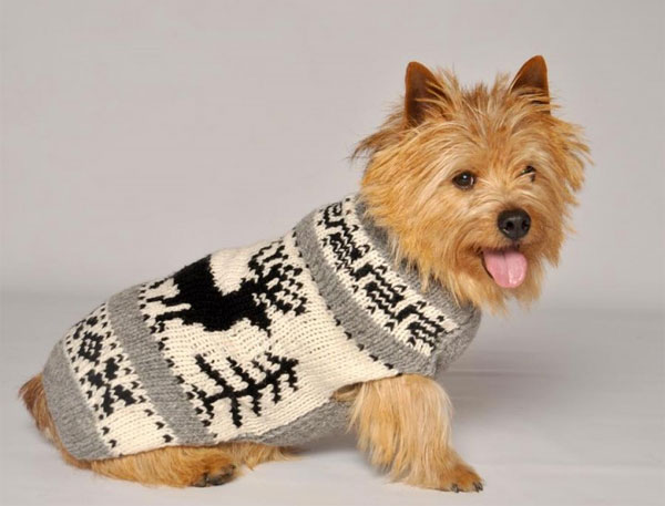 Maple Leash Knitted Sweater