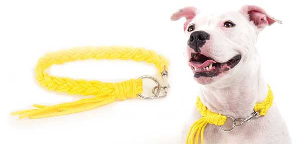DIY Craft: Braided Dog Collar with Tassel | Modern Dog magazine