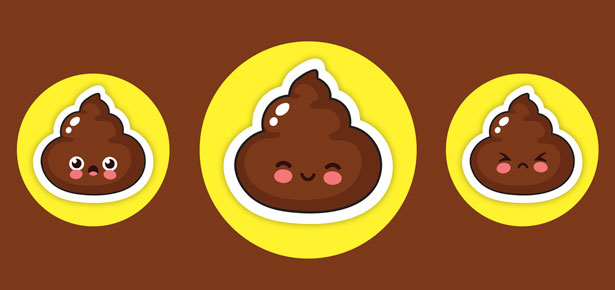50 Shades of Brown: A Comprehensive Guide to Dog Poop | Modern Dog magazine