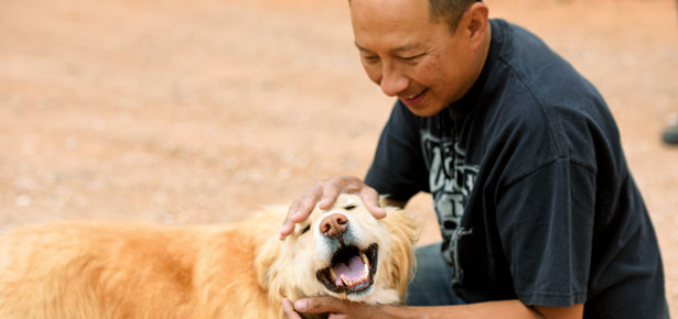 Jobs Working with Dogs! | Modern Dog magazine