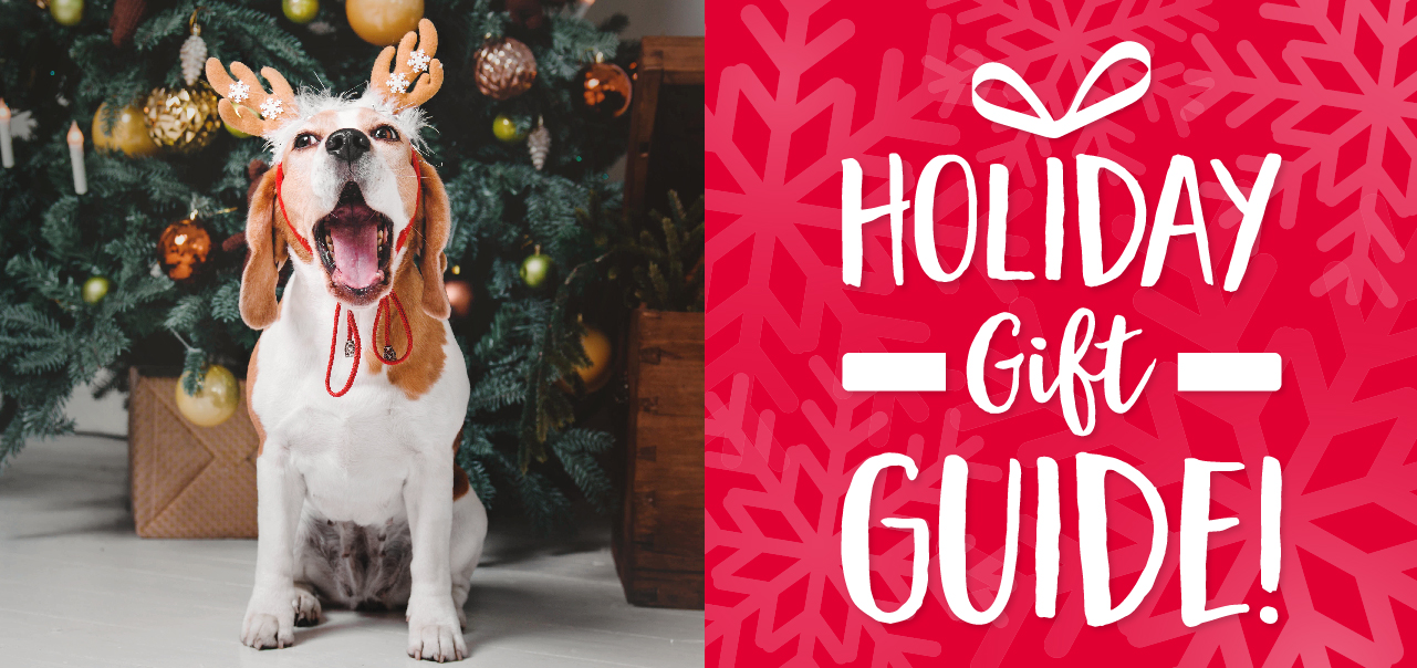 66 best gift ideas for dog lovers for the holidays in 2023