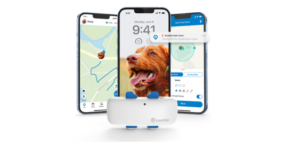 This GPS Lets You Follow Your Dog's | Modern Dog magazine