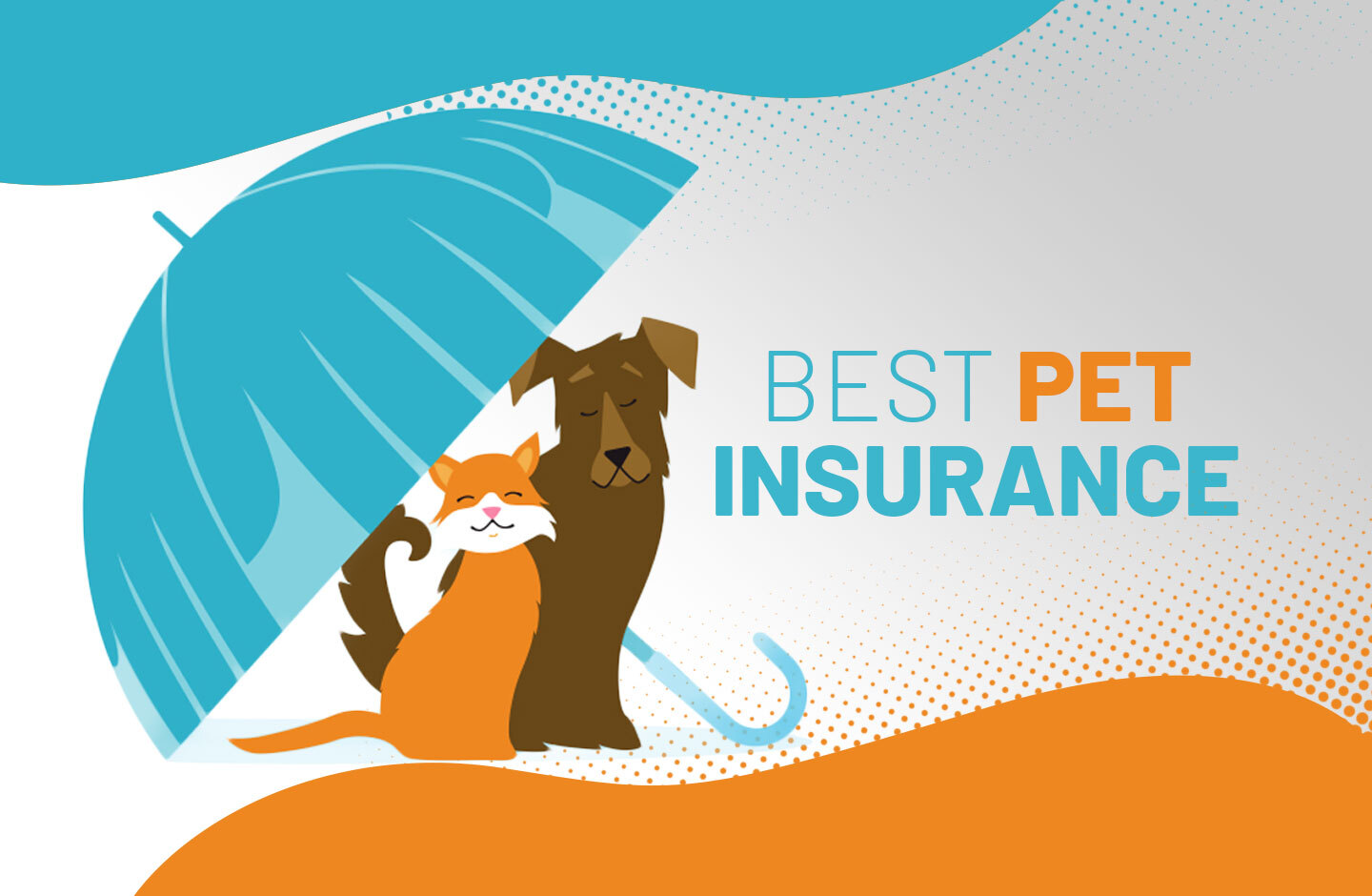 whats the best dog insurance