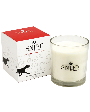 Friends to the Rescue Candle 