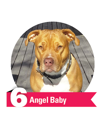 #6 Angel Baby