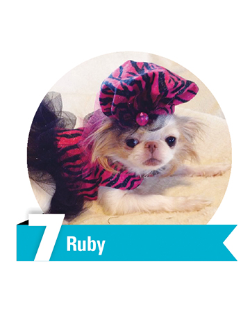 #7 Ruby