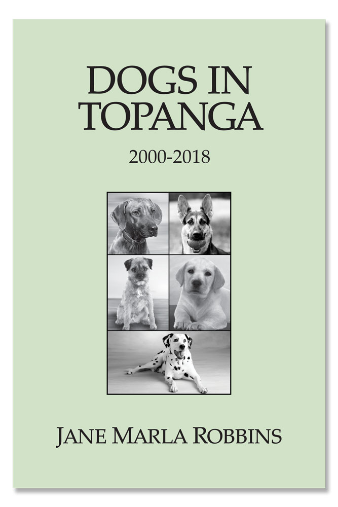 Dogs in Topanga