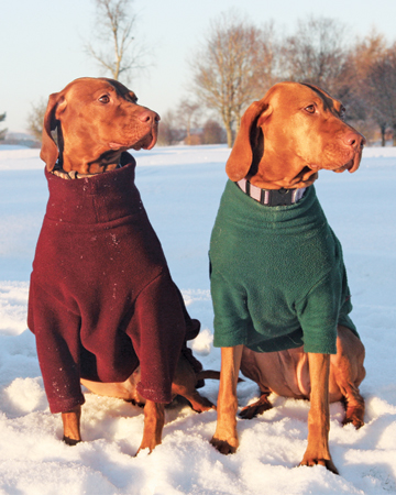 Dog sweaters from Equafleece