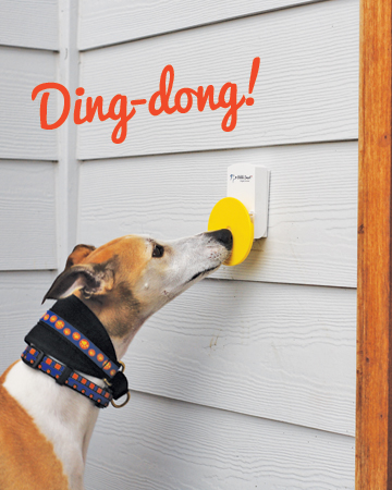 Doggie doorbell from Pebble Smart