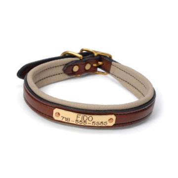 Dog collar from Central Kentucky Tack and Leather