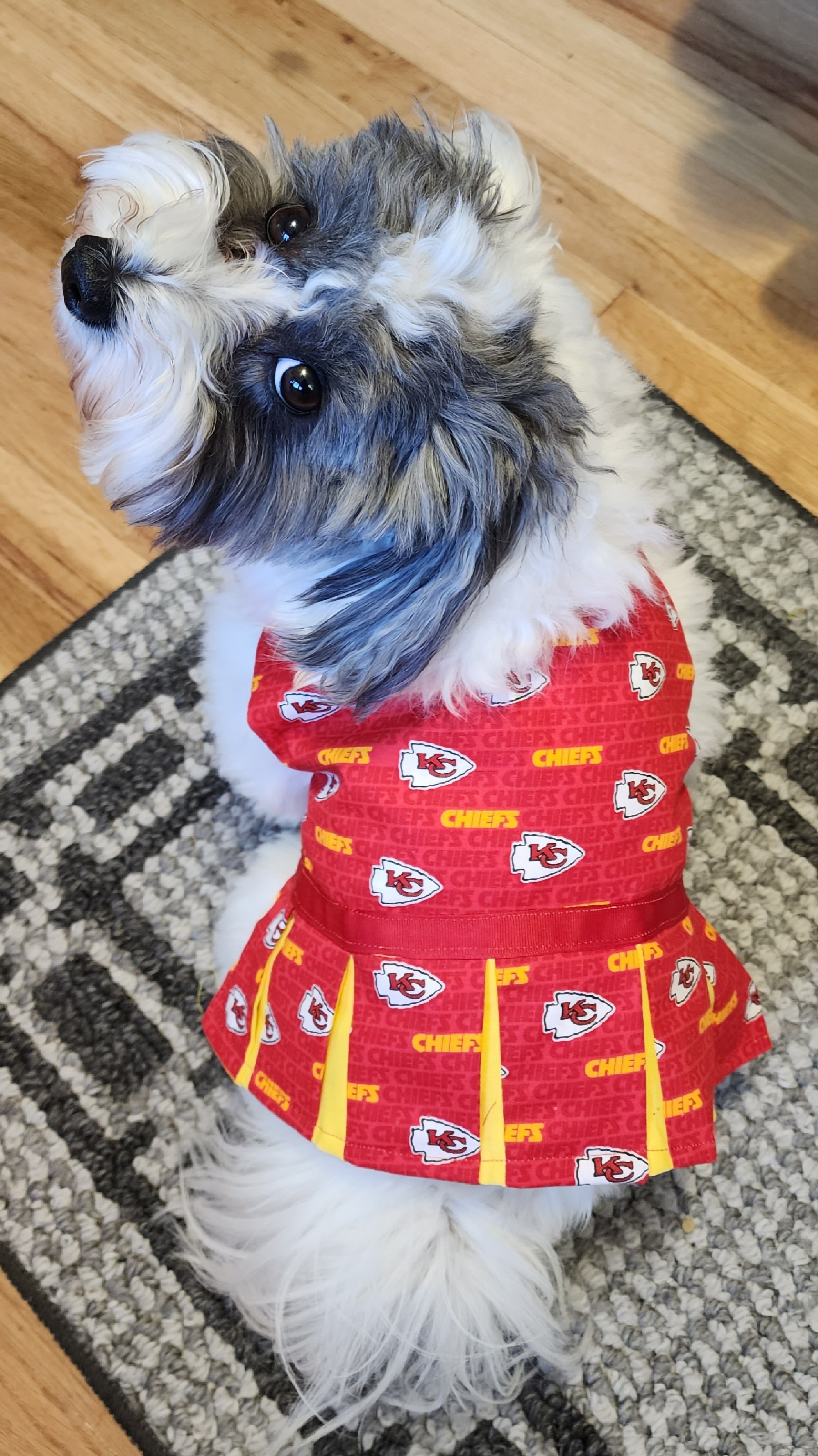 Kansas City Chiefs Dog Pet & Humans Gear