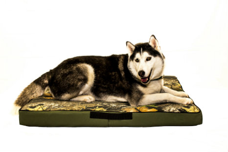Durable Dog Beds