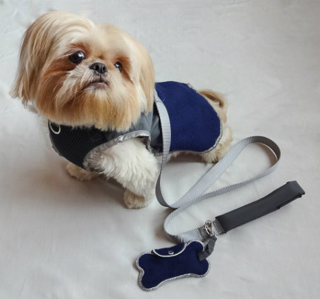 Central Park Pups 3-in-1 combo harness 