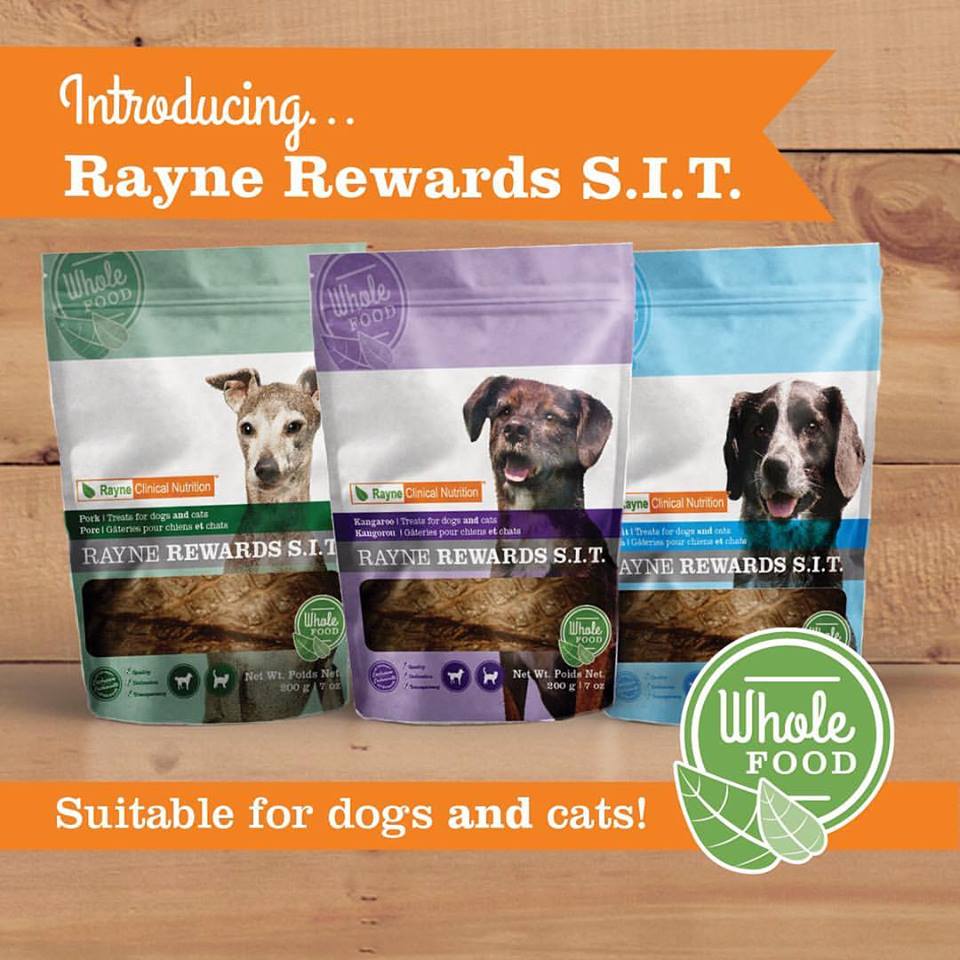 Rayne Rewards S.I.T