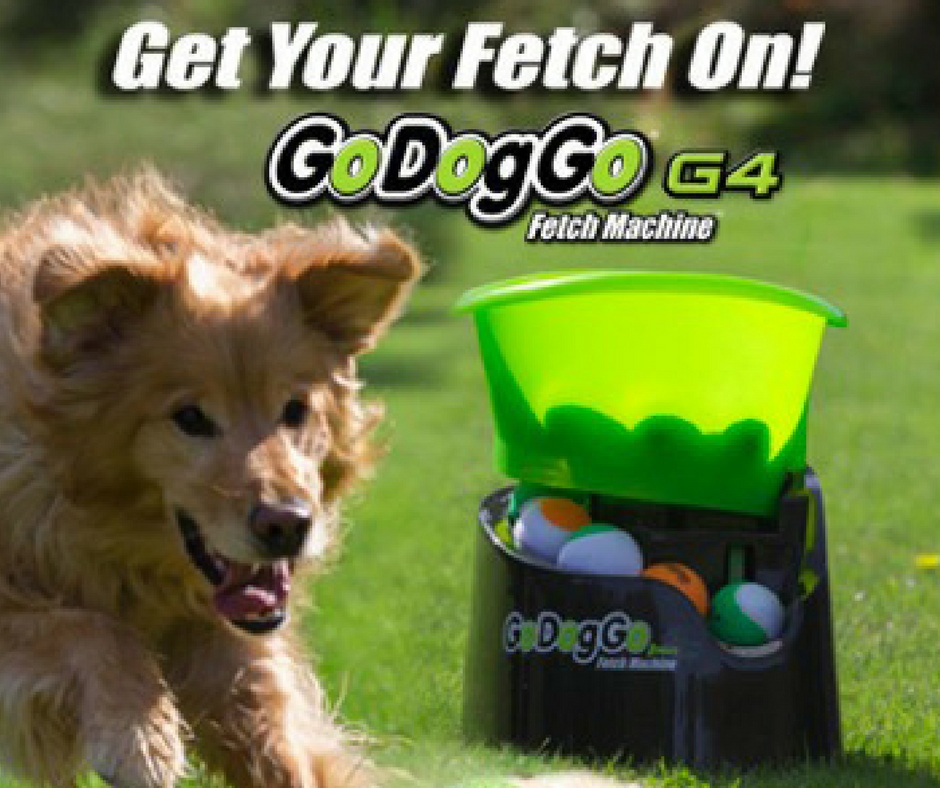 Godoggo Automatic Dog Ball Thrower