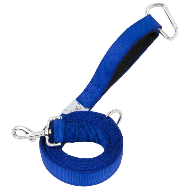 Your Perfect Puppy Leash