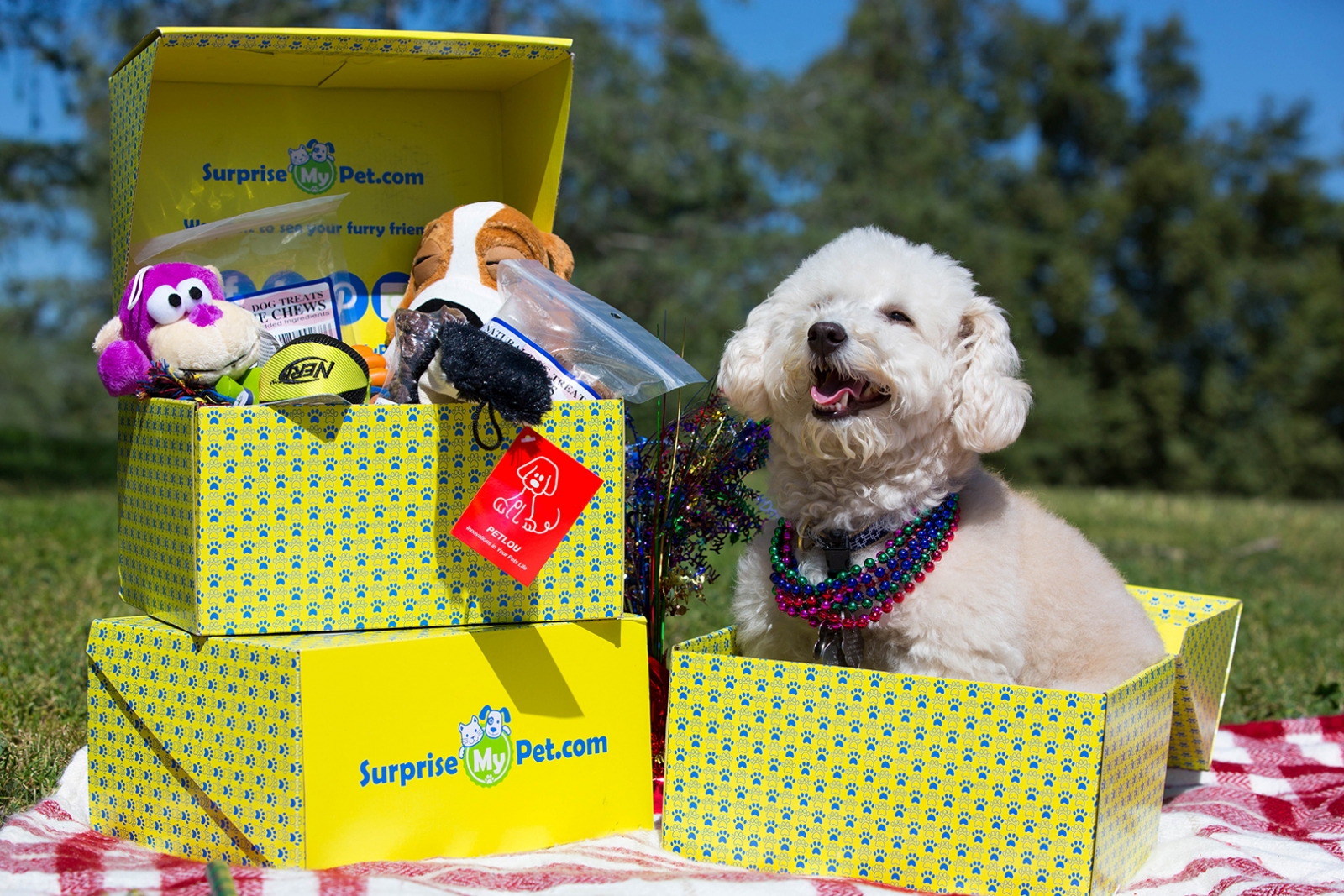 Surprise My Pet Monthly Gift Box