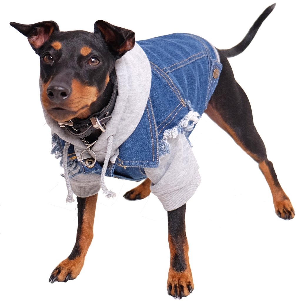 Pethaus Denim Dog Vest Raw Blue - Unpatched