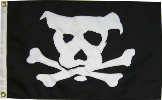 dog pirate