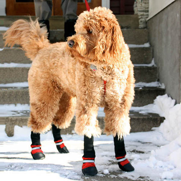Fleece Lined Muttluks Dog Boots