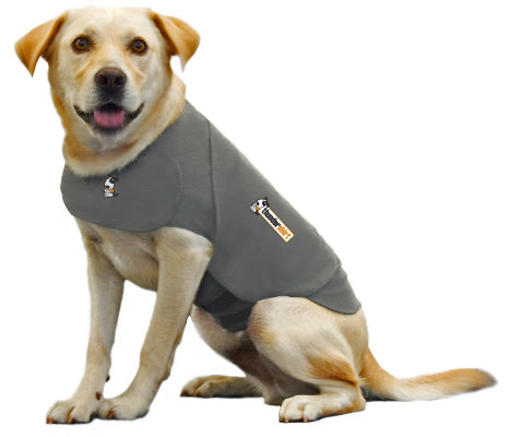 Modern Dog Fave Find Thundershirt