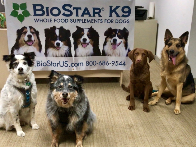 Dogs with BioStar sign