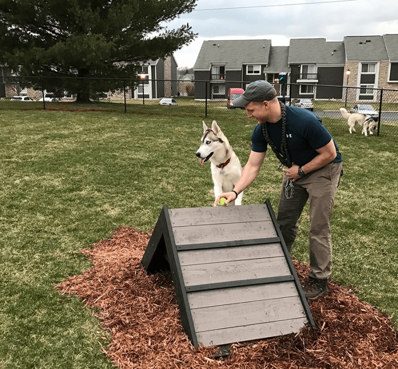 Gyms for Dogs ramp