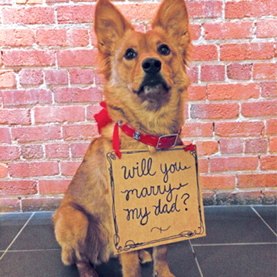 Adorable Wedding Ideas Modern Dog Magazine,How To Find An Apartment In Los Angeles