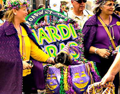 Mardi Gras Mutts Take to the Streets | Modern Dog magazine