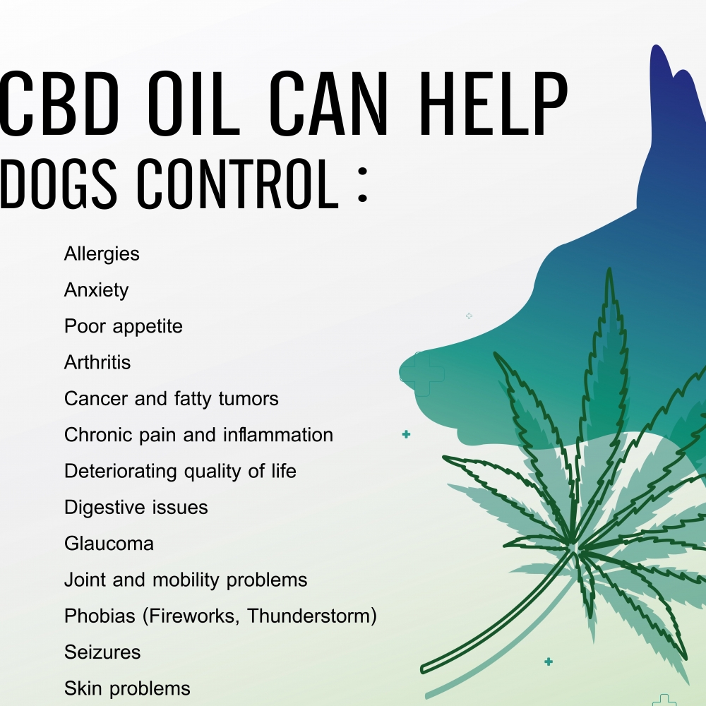 What Effects Does Heat Have On Cbd Oil - Cbd|Oil|Cannabidiol|Products|View|Abstract|Effects|Hemp|Cannabis|Product|Thc|Pain|People|Health|Body|Plant|Cannabinoids|Medications|Oils|Drug|Benefits|System|Study|Marijuana|Anxiety|Side|Research|Effect|Liver|Quality|Treatment|Studies|Epilepsy|Symptoms|Gummies|Compounds|Dose|Time|Inflammation|Bottle|Cbd Oil|View Abstract|Side Effects|Cbd Products|Endocannabinoid System|Multiple Sclerosis|Cbd Oils|Cbd Gummies|Cannabis Plant|Hemp Oil|Cbd Product|Hemp Plant|United States|Cytochrome P450|Many People|Chronic Pain|Nuleaf Naturals|Royal Cbd|Full-Spectrum Cbd Oil|Drug Administration|Cbd Oil Products|Medical Marijuana|Drug Test|Heavy Metals|Clinical Trial|Clinical Trials|Cbd Oil Side|Rating Highlights|Wide Variety|Animal Studies