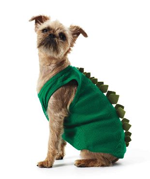 7 Adorable (And Easy!) DIY Dog Costumes - The Dogington Post
