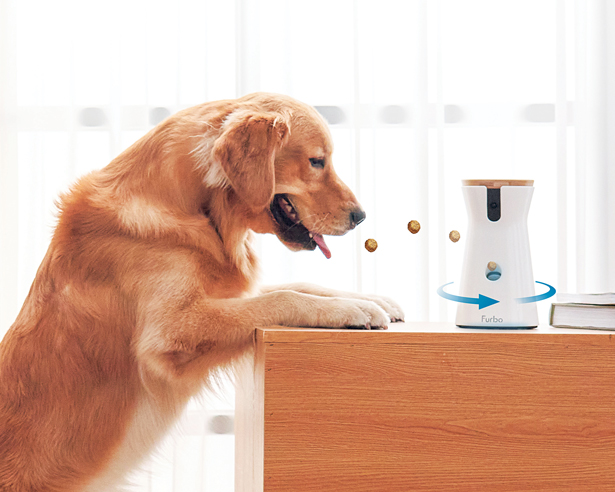 DogTech Furbo The 12 Best Smart Gadgets for Dogs and Dog Lovers | Modern Dog Magazine