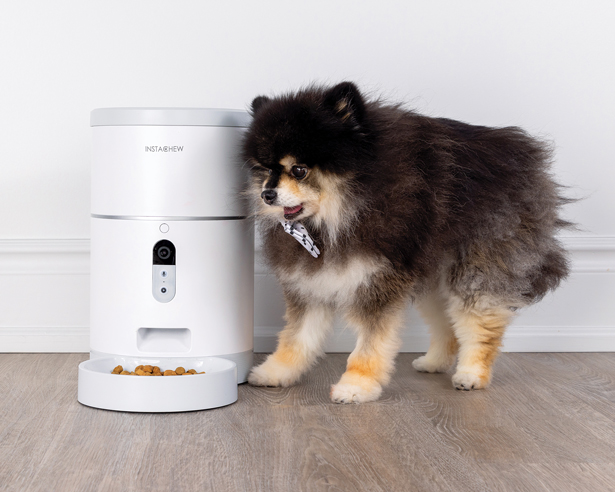 DogTech Instachew The 12 Best Smart Gadgets for Dogs and Dog Lovers | Modern Dog Magazine