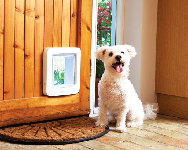 DogTech SurePet The 12 Best Smart Gadgets for Dogs and Dog Lovers | Modern Dog Magazine