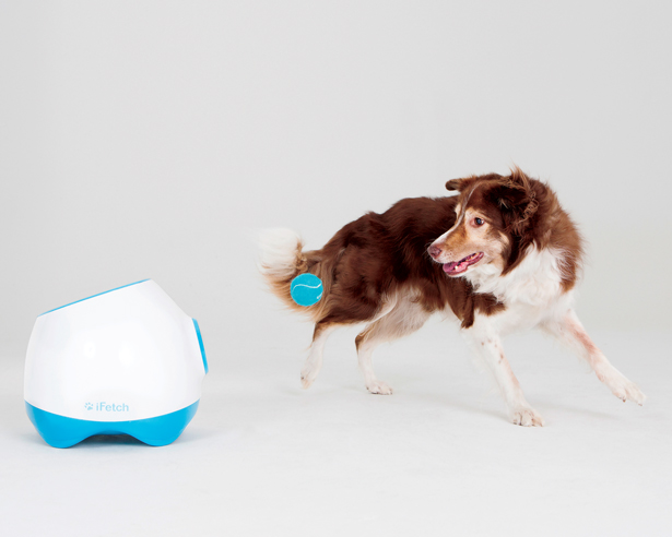 DogTech iFetch The 12 Best Smart Gadgets for Dogs and Dog Lovers | Modern Dog Magazine