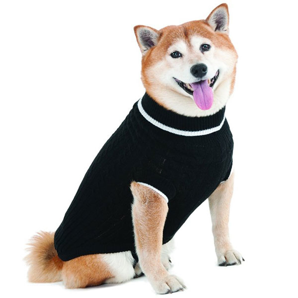 Dog Sweaters So Cute You Ll Want To Wear Them Modern Dog Magazine
