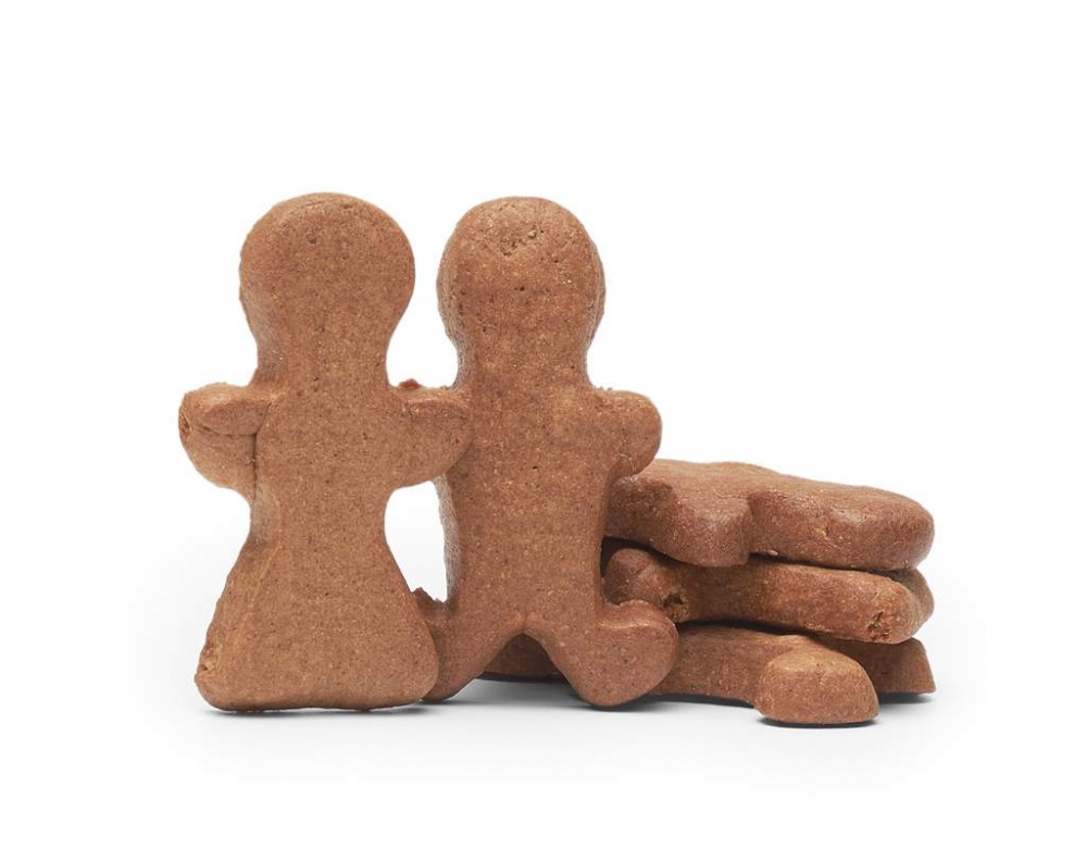 Healthy gingerbread treats for your dog, the perfect last-minute dog gift 