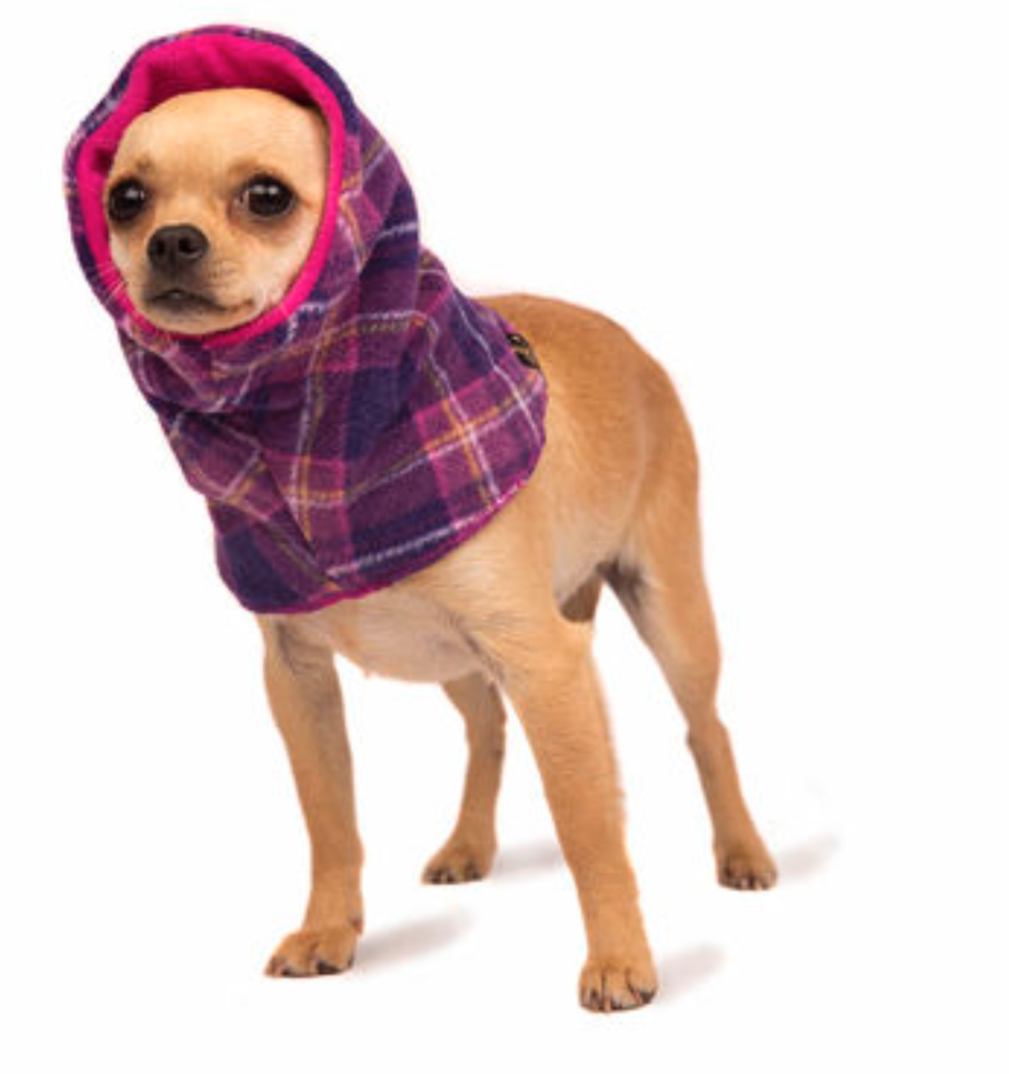 cold weather clothing for small dogs to keep warm during the Winter 