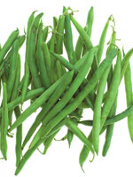 green beans as a source of fibre for dogs