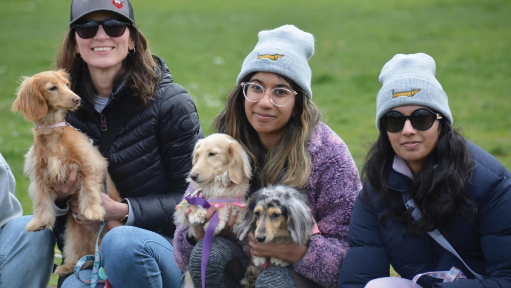 Weenie Mom Club attendees with Dachshund puppies