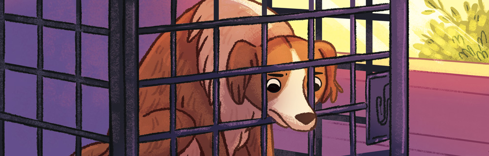 is putting a dog in a crate bad