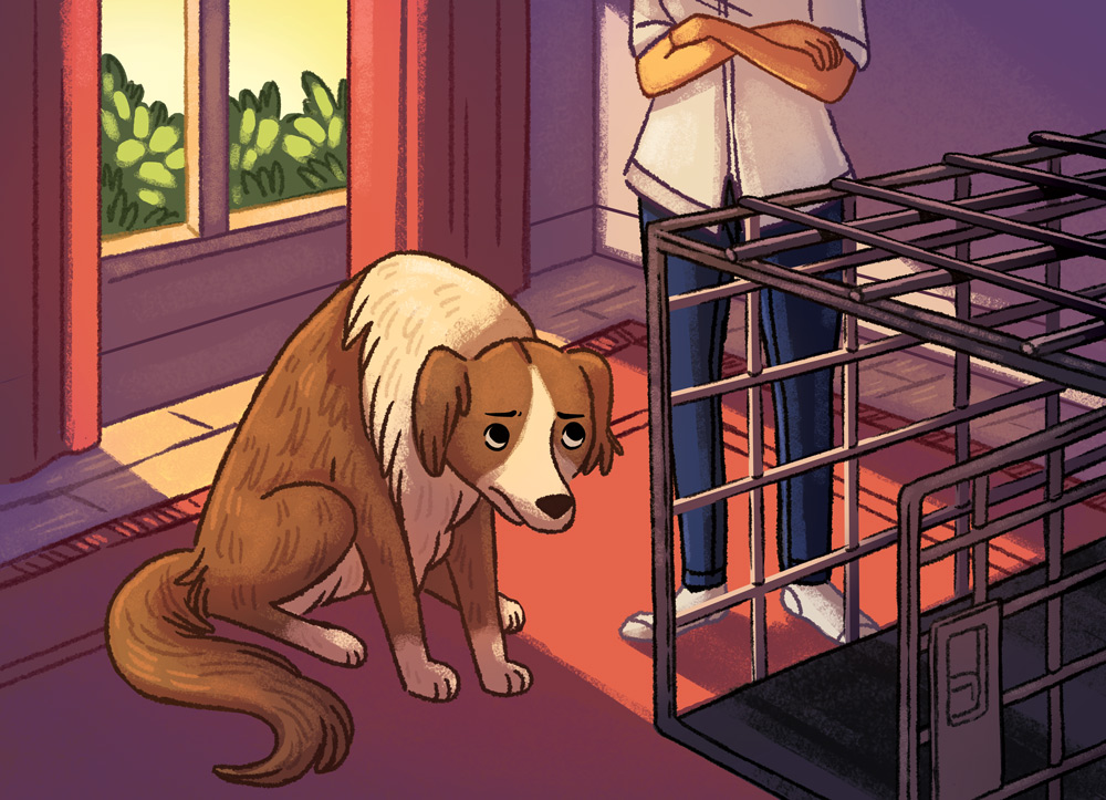 is putting a dog in a crate bad