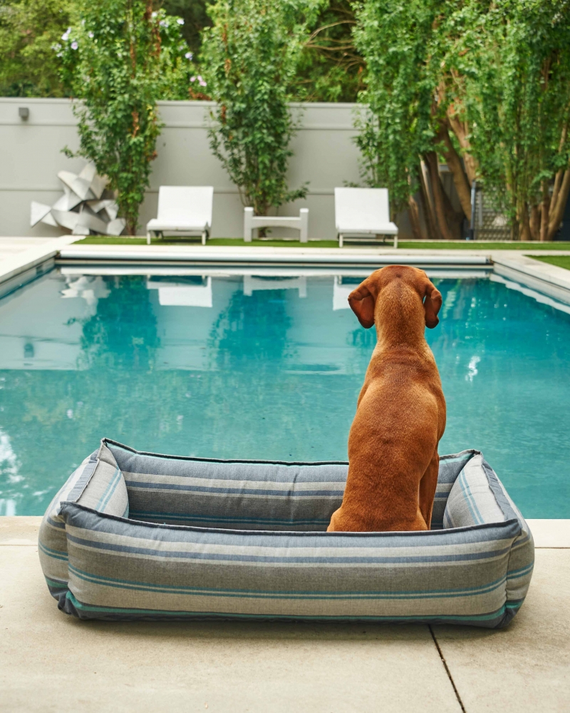 Dog sitting in Bowsers Pet Urban Lounger in front of pool