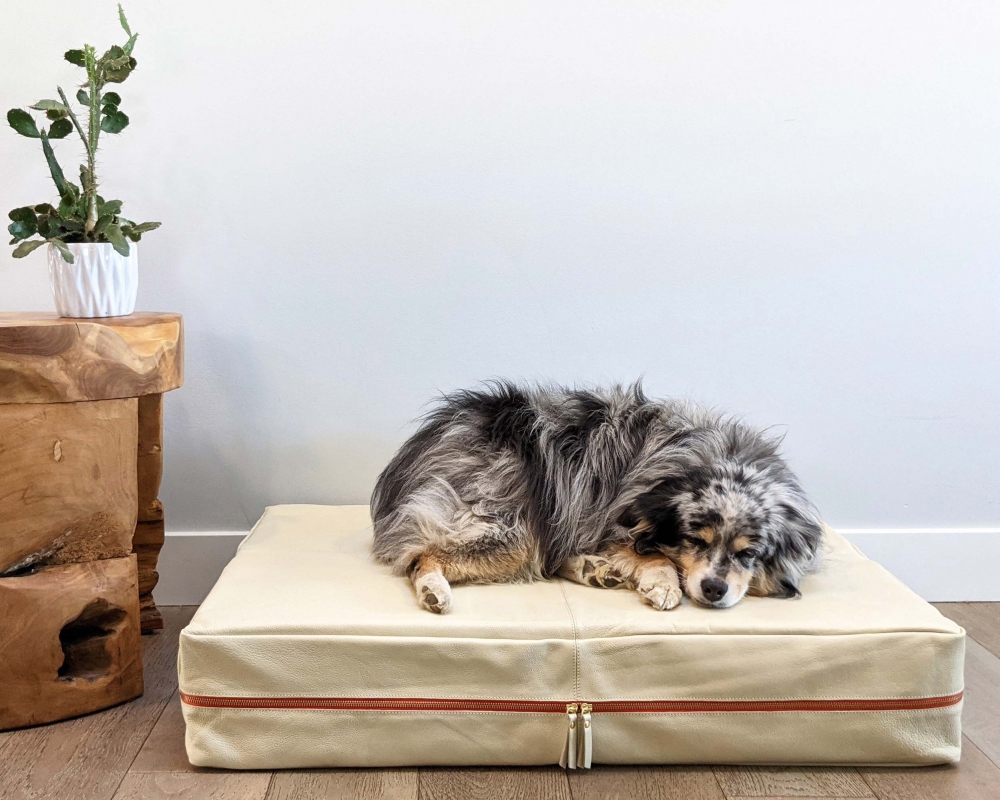 Dog lying on Le Dog Company leather dog bed