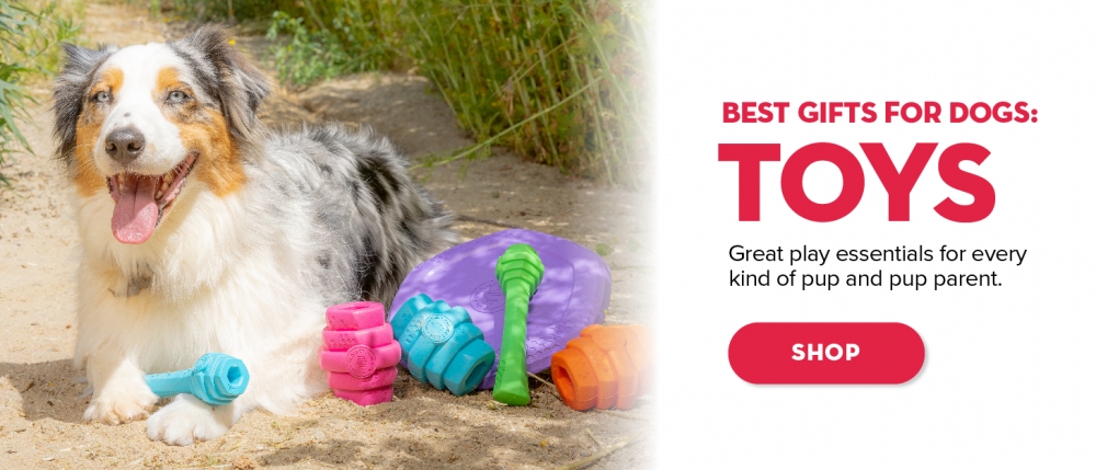 Best Gifts For Dogs 2023 - Forbes Vetted
