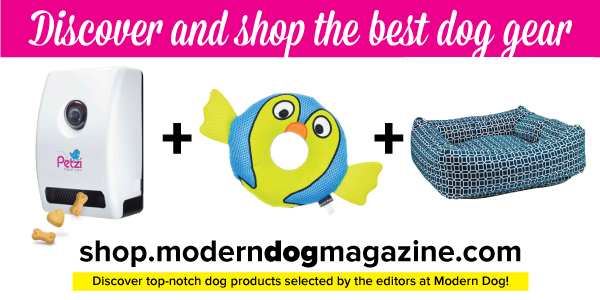 Shop Modern Dog 