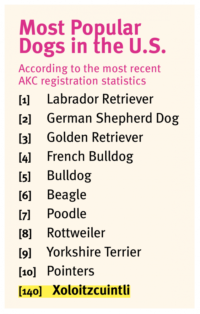 what are good mexican dog names