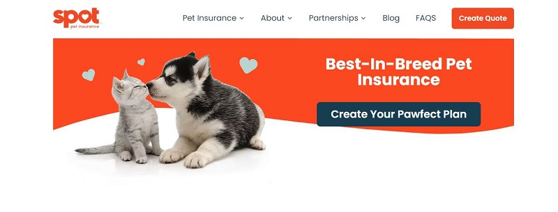 what is the best pet insurance for puppies